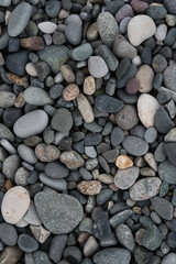 Background of small round pebbles on the stone beach of Batumi