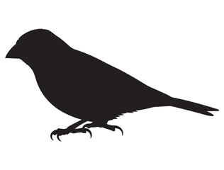 FINCH BIRD SILHOUETTE.