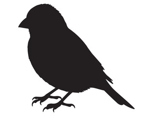 FINCH BIRD SILHOUETTE.