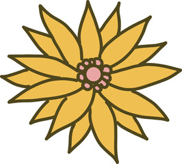 Yellow flower is radiating petals and pink center in flat design, transparent background