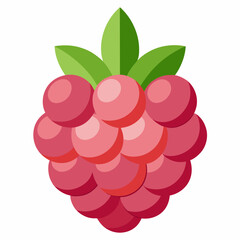 raspberry with leaves