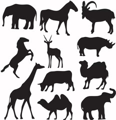 Animal Silhouettes - Diverse ...