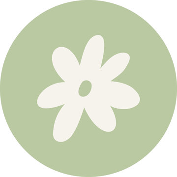 Fototapeta White daisy icon is floating on transparent background, featuring flat sage green circle