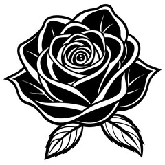 black and white rose