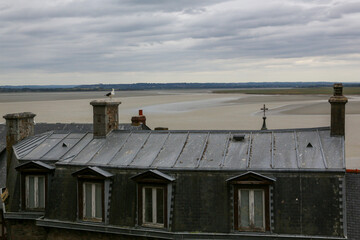 Seagull resting on the rooftops of a city by the sea on a cloudy day