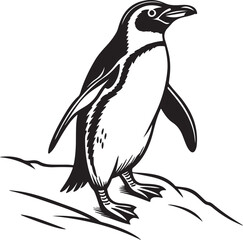 Fototapeta premium Penguin vector art illustration silhouette image