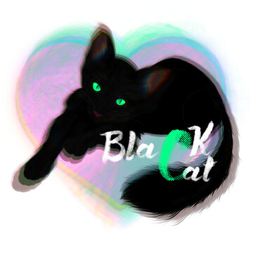 blacl cat nero