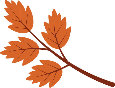Fototapeta Vector autumn branch on transparent background featuring curved stem holding five orange leaves