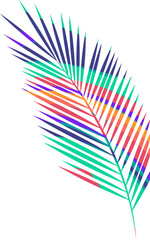 Stylized palm frond vector is showing multicolored gradient leaflets on transparent background