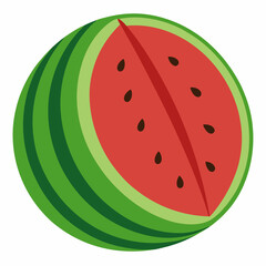 watermelon vector illustration