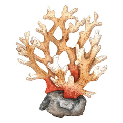 Obraz premium Watercolor painting of branching coral on a rock in orange, brown, and grey tones representing marine life and natural beauty with copy space