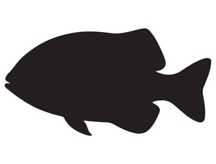 FISH SILHOUETTE