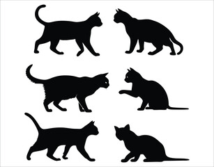 Pure Black Shorthair Cat Collection