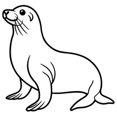 Minimalist Sea Lion Line Art on White Background
