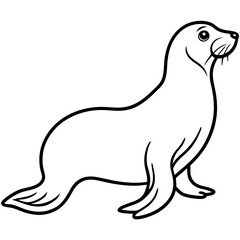 Minimalist Sea Lion Line Art on White Background