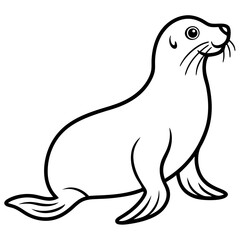 Minimalist Sea Lion Line Art on White Background