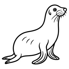 Minimalist Sea Lion Line Art on White Background