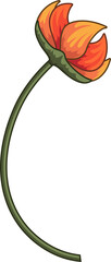 Stylized orange tulip blooming on gently curving green stem in flat design, transparent background