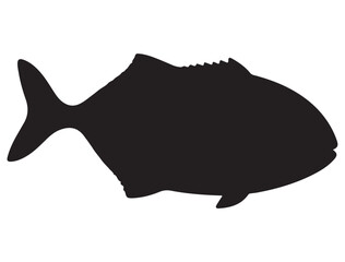 FISH SILHOUETTE