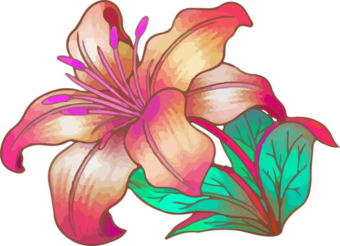 Fototapeta Flat style lily is floating on transparent backdrop, showing gradient petals and magenta stamen