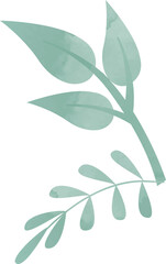 Watercolor branches are floating with transparent background, showing oval leaves and leaflets