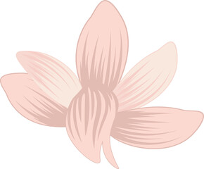 Naklejka premium Vector-style six-petaled coral and peach flower is floating on transparent background, copy space