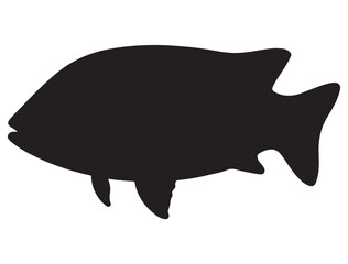FISH SILHOUETTE