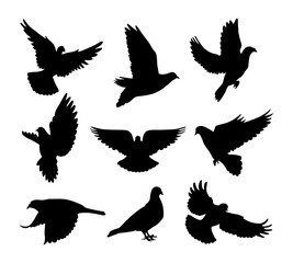 Fototapeta premium dove silhouette set vector illustration