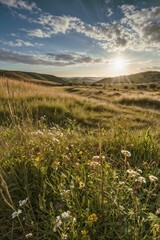 Fototapeta premium Golden Sunset Over Wildflower Meadow and Rolling Grasslands