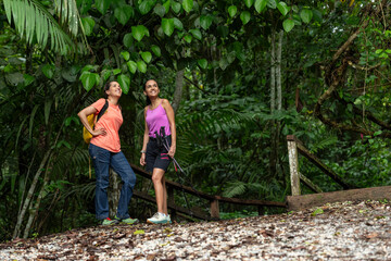 Two woman trekking in tropical rainforest, Metropolitan Natural Park, Panama City, Panama - stock...