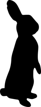 Bunny SVG, Rabbit SVG, cute bunny SVG
