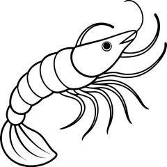 Shrimp Outline Illustration – Simple Vector Style