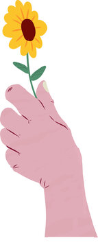 Fototapeta Disembodied pink hand is holding sunflower with green stem on transparent background flat style