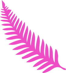 Pink fern-like frond is sitting diagonally on flat design showing leaflets, transparent background