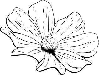 Hand-drawn flower outline is showing six petals circling textured center on transparent backdrop