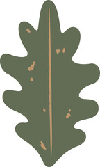 Flat oak leaf art is showing lobed shape with beige vein and speckled spots, transparent background