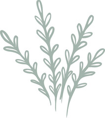 Abstract vector plant is showing slender stems with teardrop leaves, transparent background