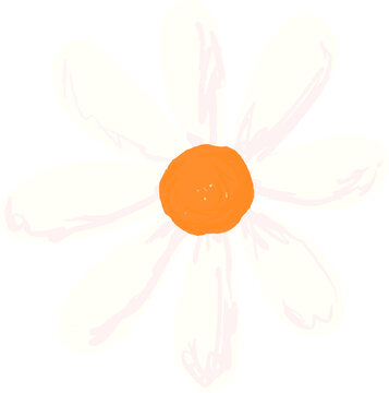 Fototapeta flat daisy flower is floating on transparent background with hand-drawn petals and orange center