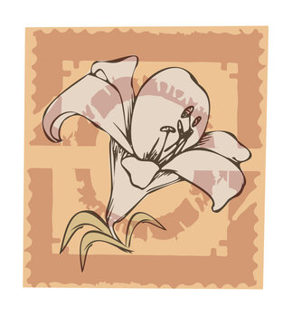 Fototapeta Stylized lily blossom on scalloped panel is showing petals, stamens, leaves, transparent background