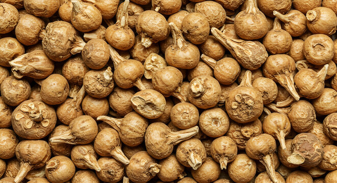 Cluster of maca roots with rich texture and detail