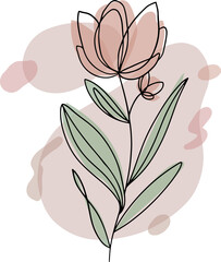 Naklejka premium Flat design showing outlined coral bloom, sage leaves and blush shapes on transparent background