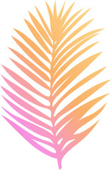 Palm frond leaf is being shown in vector design with pink-yellow gradient transparent background