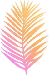 Fotobehang Aroma Palm frond leaf is being shown in vector design with pink-yellow gradient transparent background  © vectorfusionart