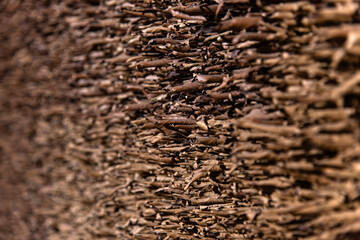 board composed of dried leaves in the art museum