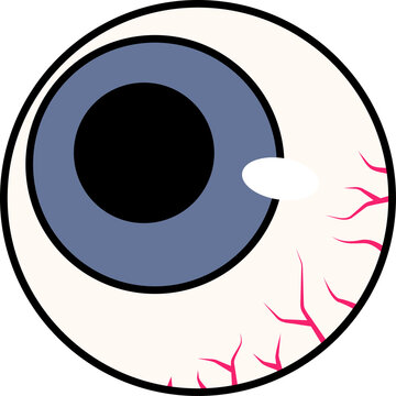 Fototapeta Stylized eyeball is showing flat style with sclera, iris, pupil, veins and shine on transparent bg