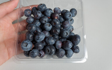 Blueberries in a plastic bow bought from the market.