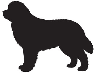 FOUNDLAND DOG SILHOUETTE