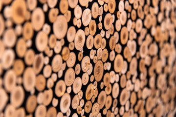 board composed of tree-branches in the art museum
