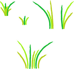 잔디,수채화 일러스트