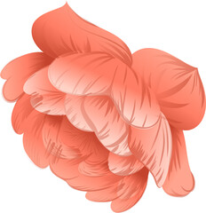 Fototapeta premium Overlapping coral-pink curved petal shapes are swirling in flat design with transparent background